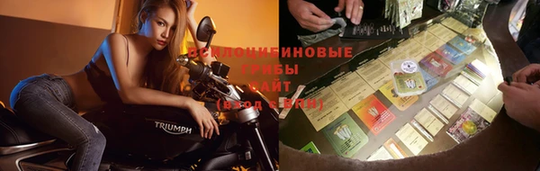 спайс Аркадак