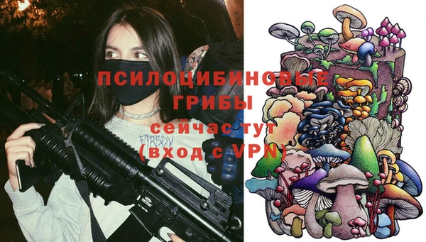 спайс Аркадак