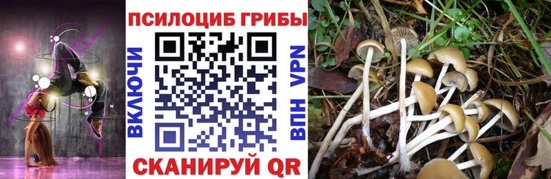 Галлюциногенные грибы Cubensis  ОМГ ОМГ ТОР  Морозовск 